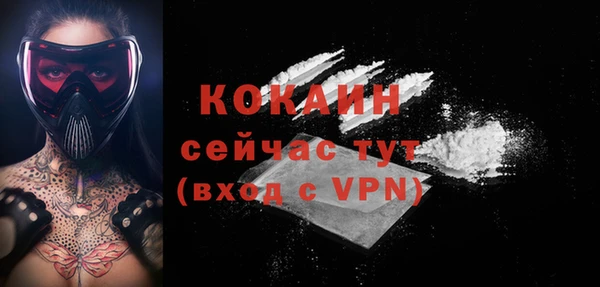 PSILOCYBIN Майский