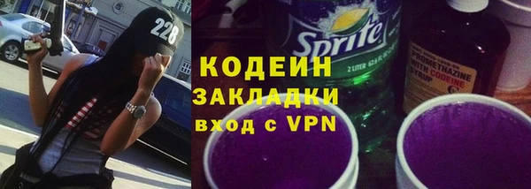 твердый Лагань