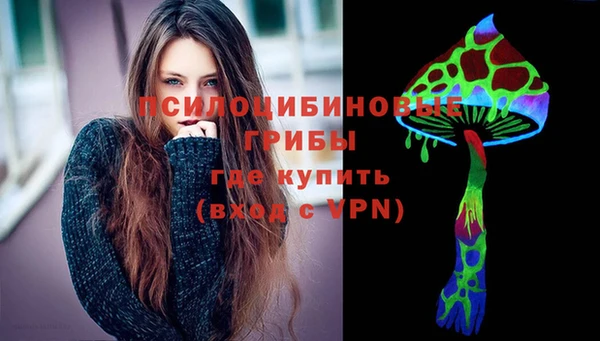 твердый Лагань